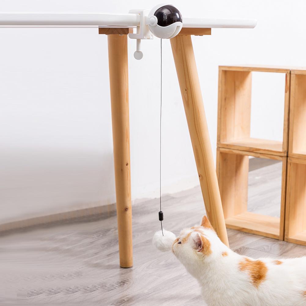Brinquedo Eletrônico EletricBall™ Para Gatos Aliexpress