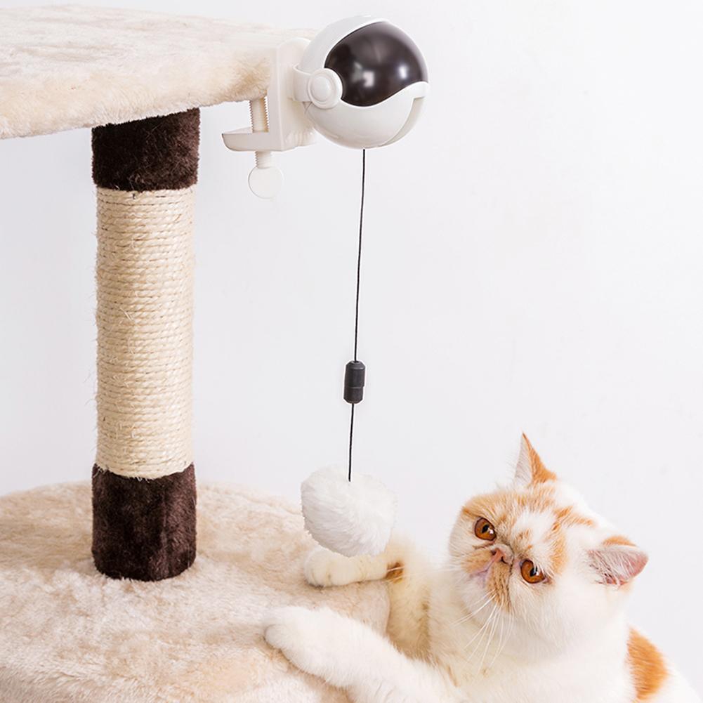 Brinquedo Eletrônico EletricBall™ Para Gatos Aliexpress
