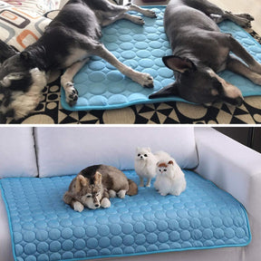Tapete Refrescante CoolingPet™ Para Pets Aliexpress